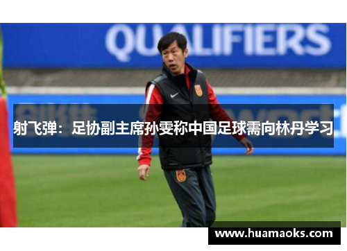 射飞弹：足协副主席孙雯称中国足球需向林丹学习
